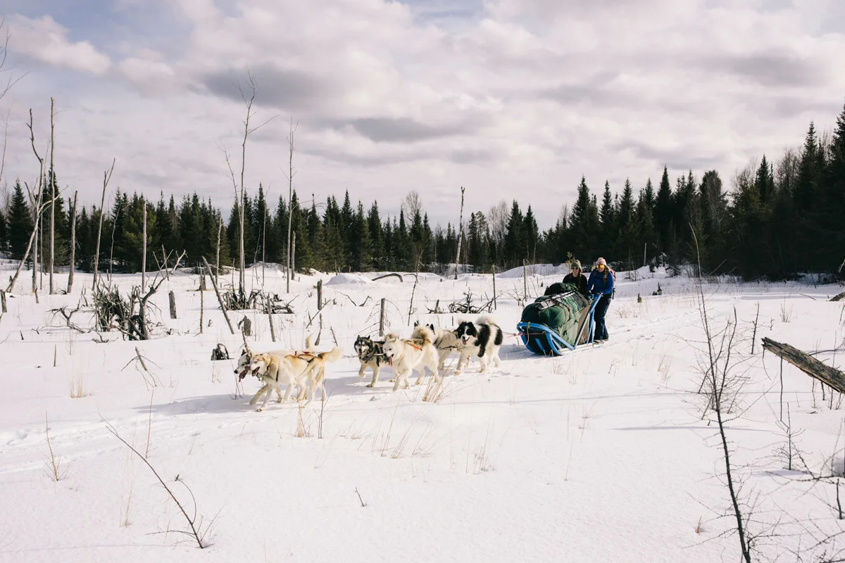 andy-cochrane-dogsledding-boundary-waters-10