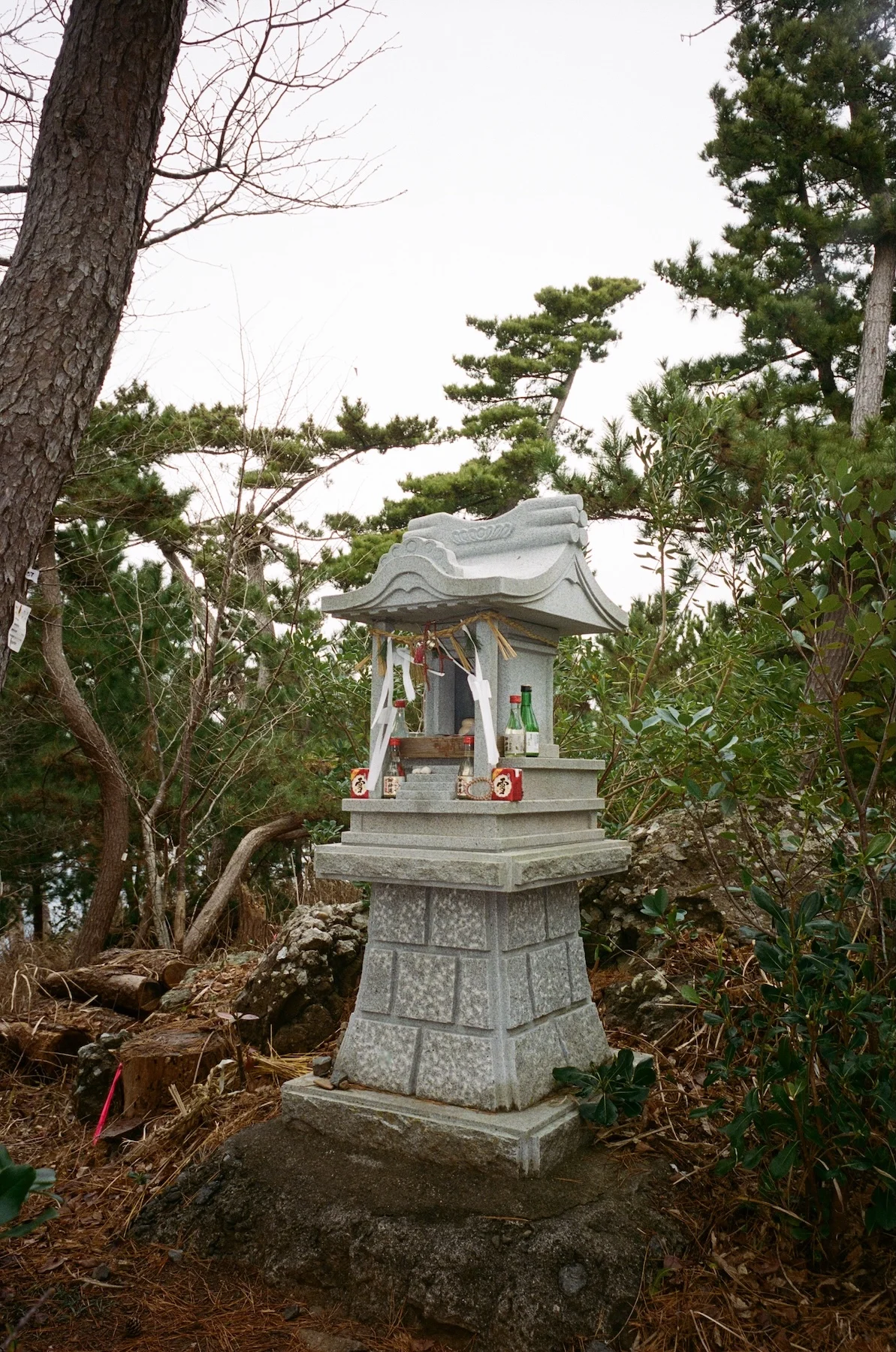 Michinoku-Coastal-Trail-Winter-Guide-Shrine-Vertical