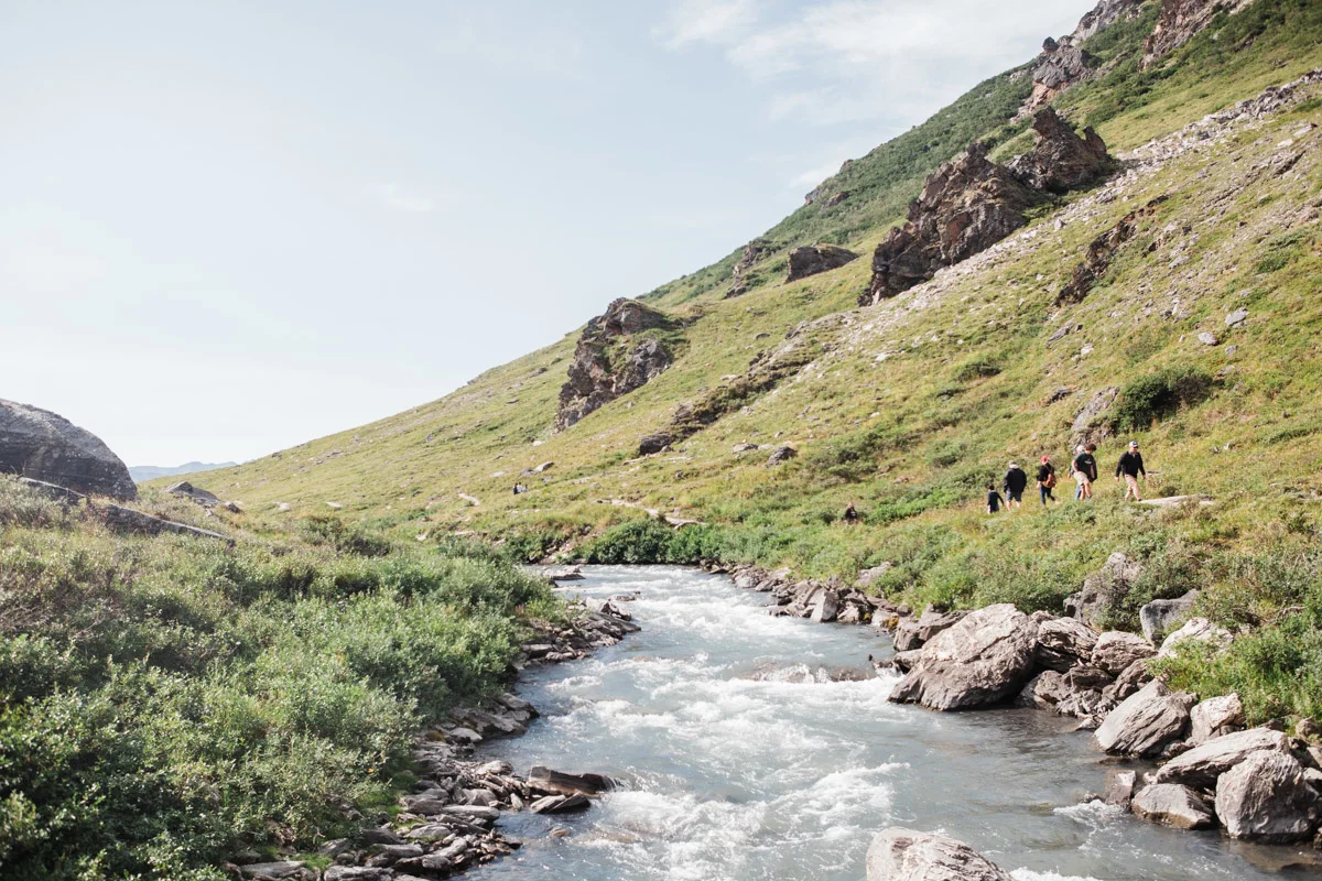 karthika gupta denali camping savage river alpine trail 2