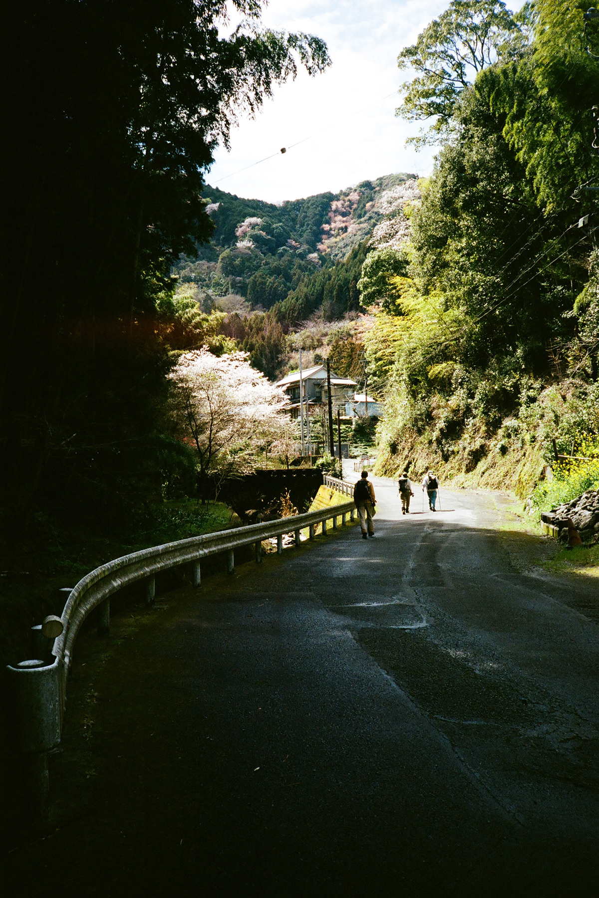 A Hiker's Guide to the Katsuo Trail, A New Long-Distance Route in Japan