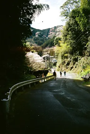 A Hiker's Guide to the Katsuo Trail, A New Long-Distance Route in Japan