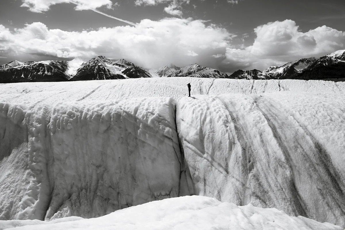forrest-smith-wilder-book-fieldmag-1