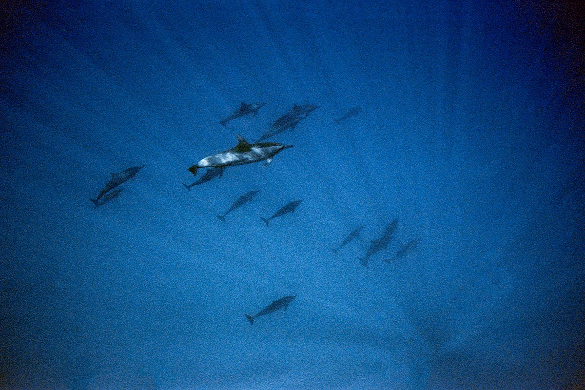 Danny-Nieves-Maldives-Dive-Nikonos-1