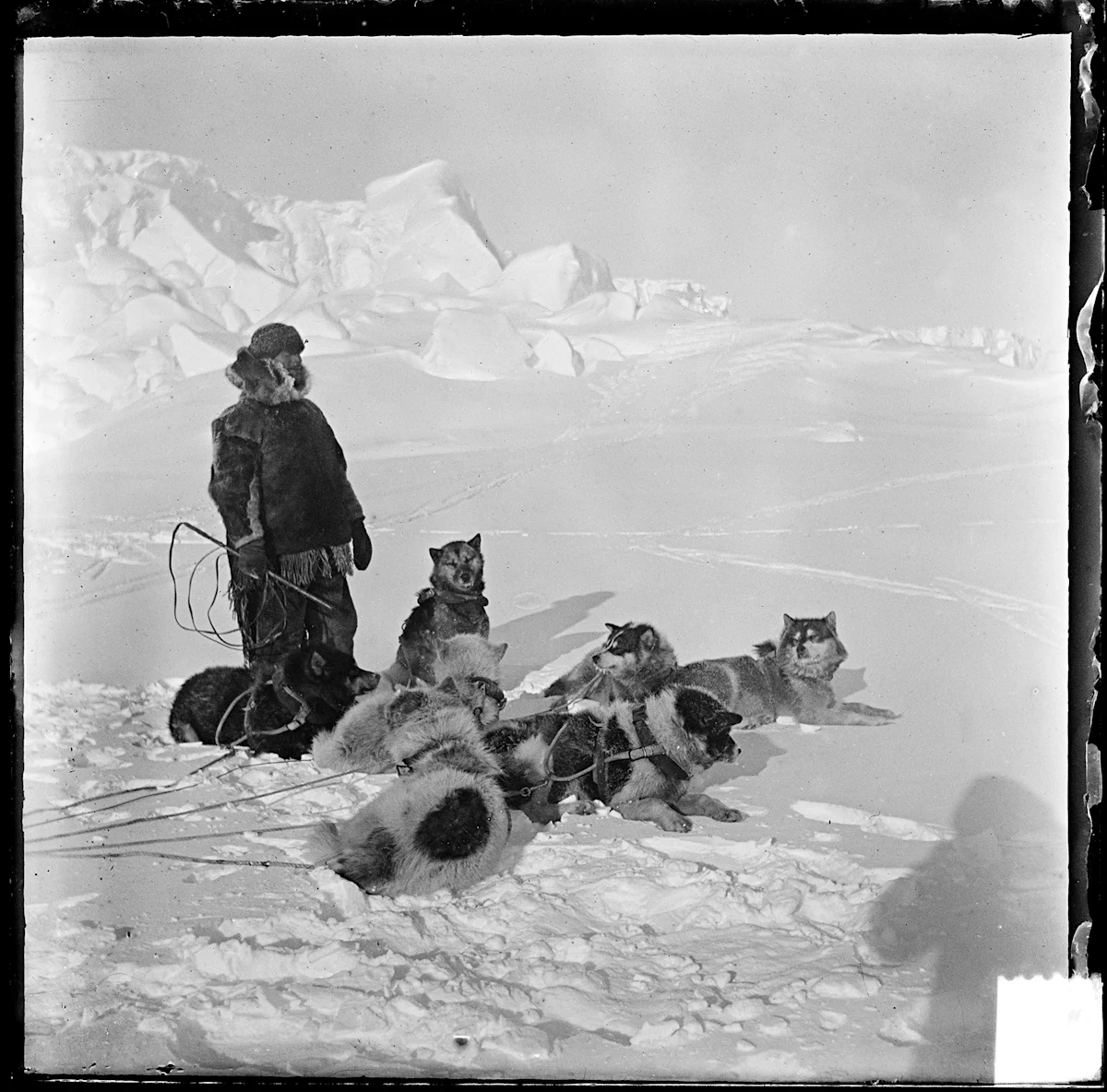Amundsen-Archive-Dog-Sled