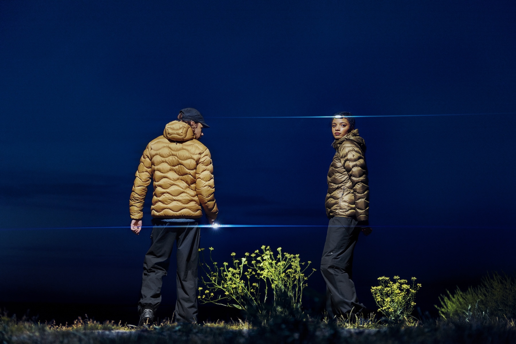 How Peak Performance Harnesses Color Psychology to Create Enduring Designs