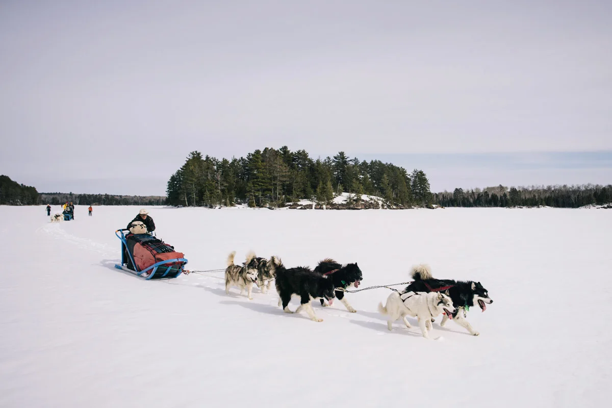 andy-cochrane-dogsledding-boundary-waters-45