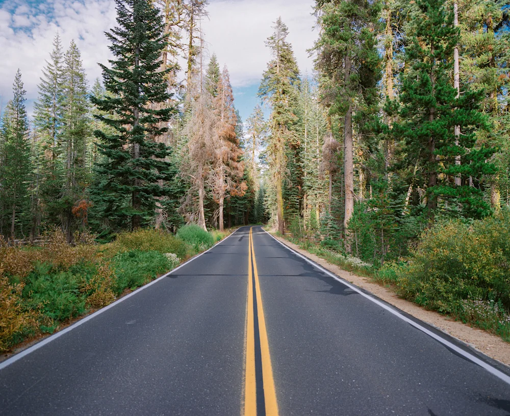 The Untamed Spirit of California, Captured on Medium Format Film