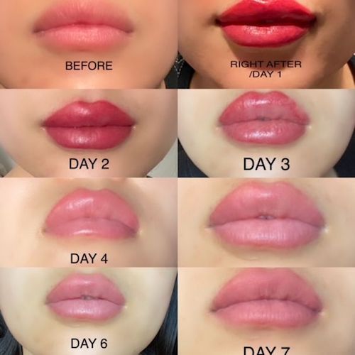 Lip Blushing Healing Proces