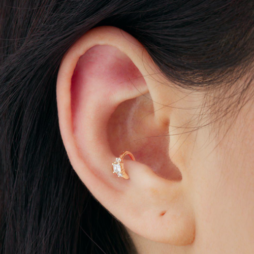 worldtravelhelp.com  Earings piercings, Pretty ear piercings, Cool ear  piercings