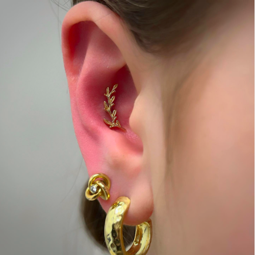 Inner Conch Trend 2