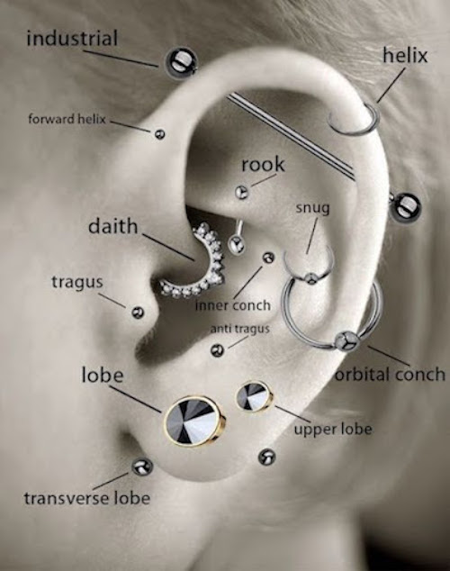 Different Types of Ear Piercings Chart