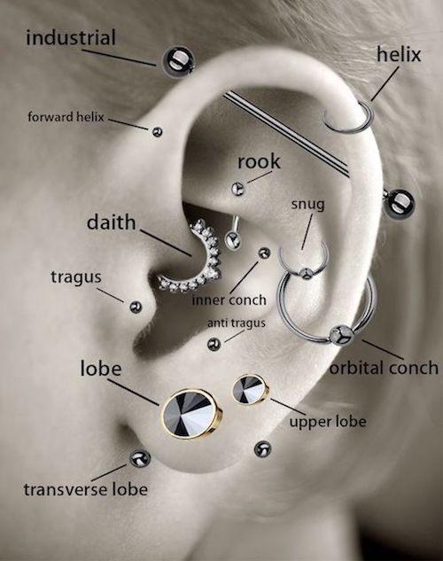 Ear Piercing Chart