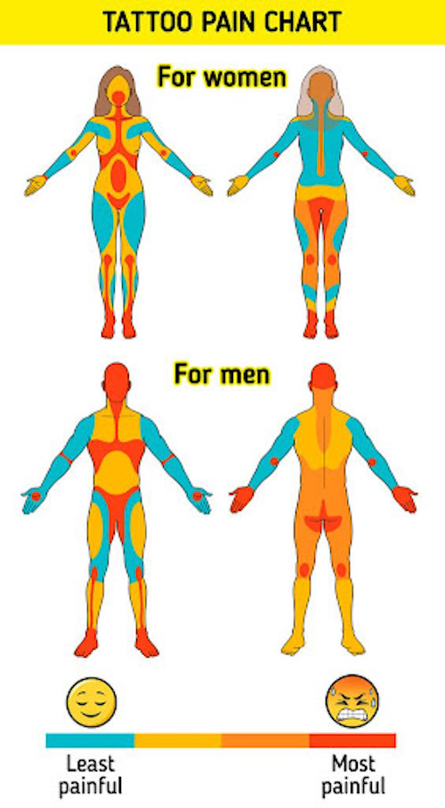 Tattoo Pain Chart (Female vs. Male)