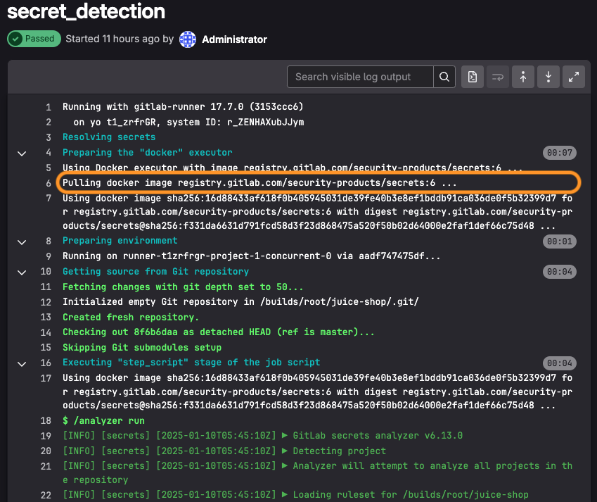 GitLab Runner with internet access successfully pulling from external registry