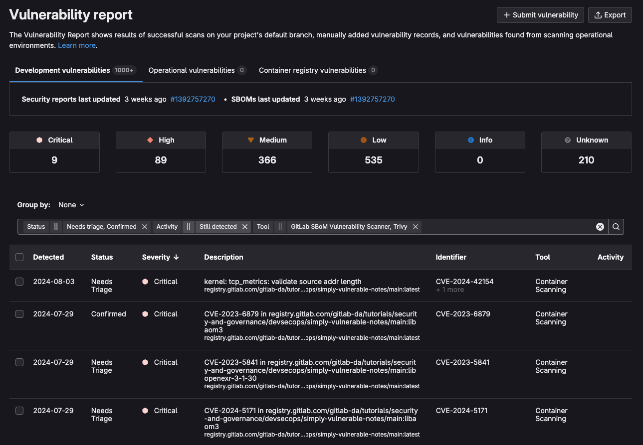 Vulnerability report with filters applied