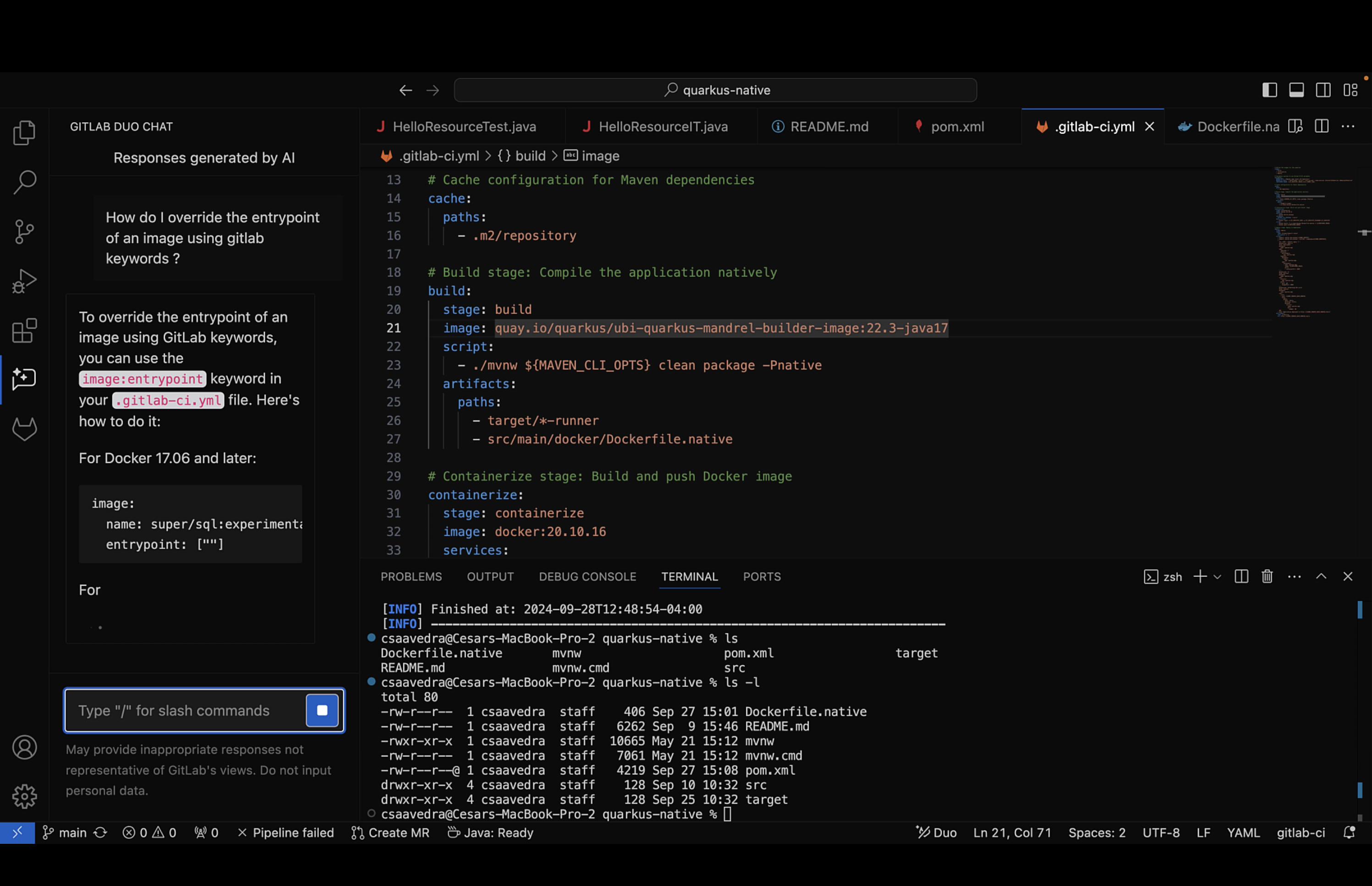 how-to-override-entrypoint-prompt