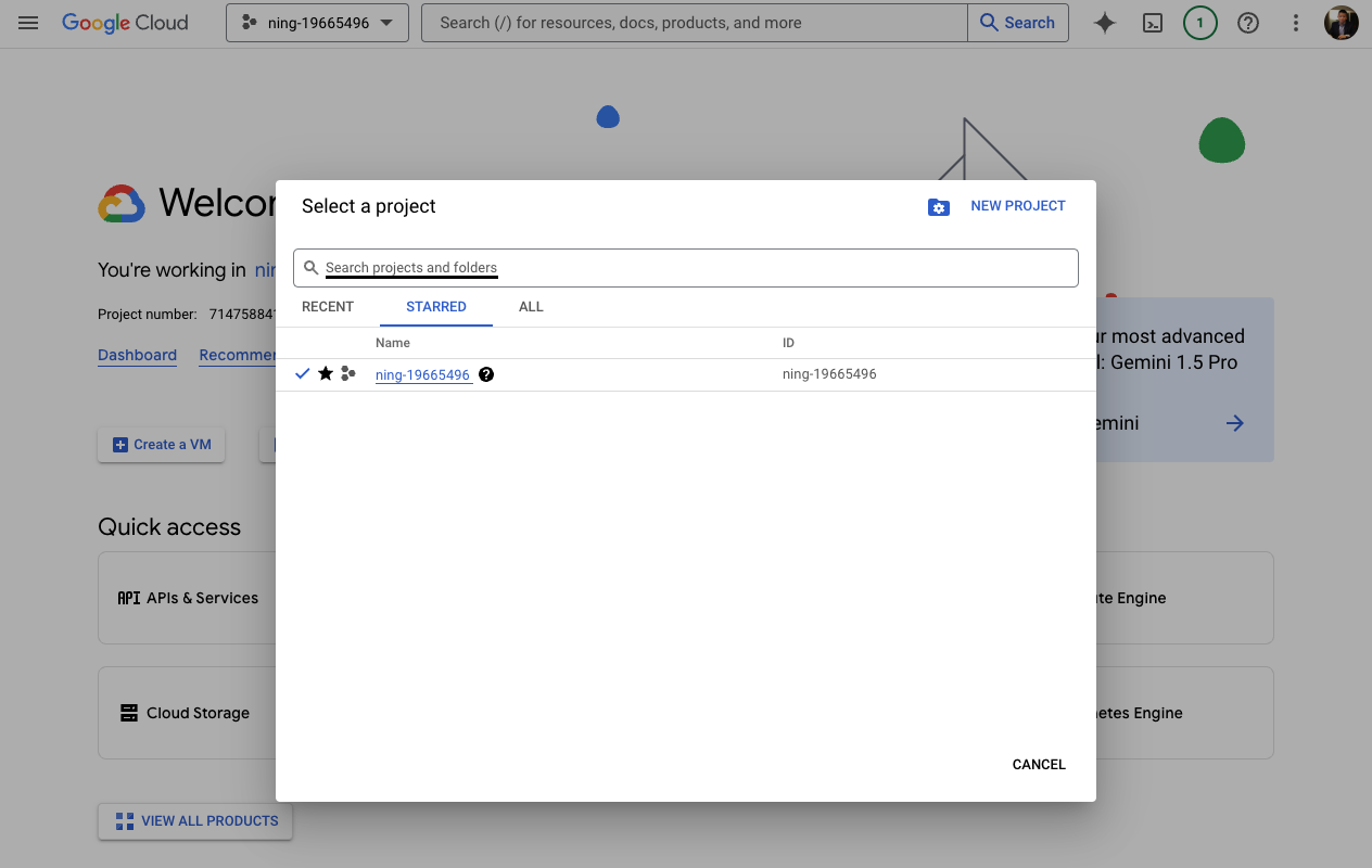 Copy project ID from GCP screen