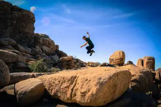 joshua-tree-leap.jpg