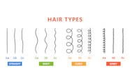 Curl Types Hair Chart How To Find Your Curl Type 51 OFF