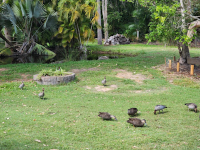 Hervey Bay