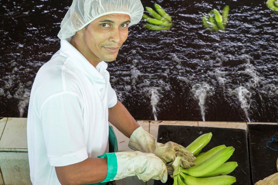 Don Marce Sur Farm Kolumbien