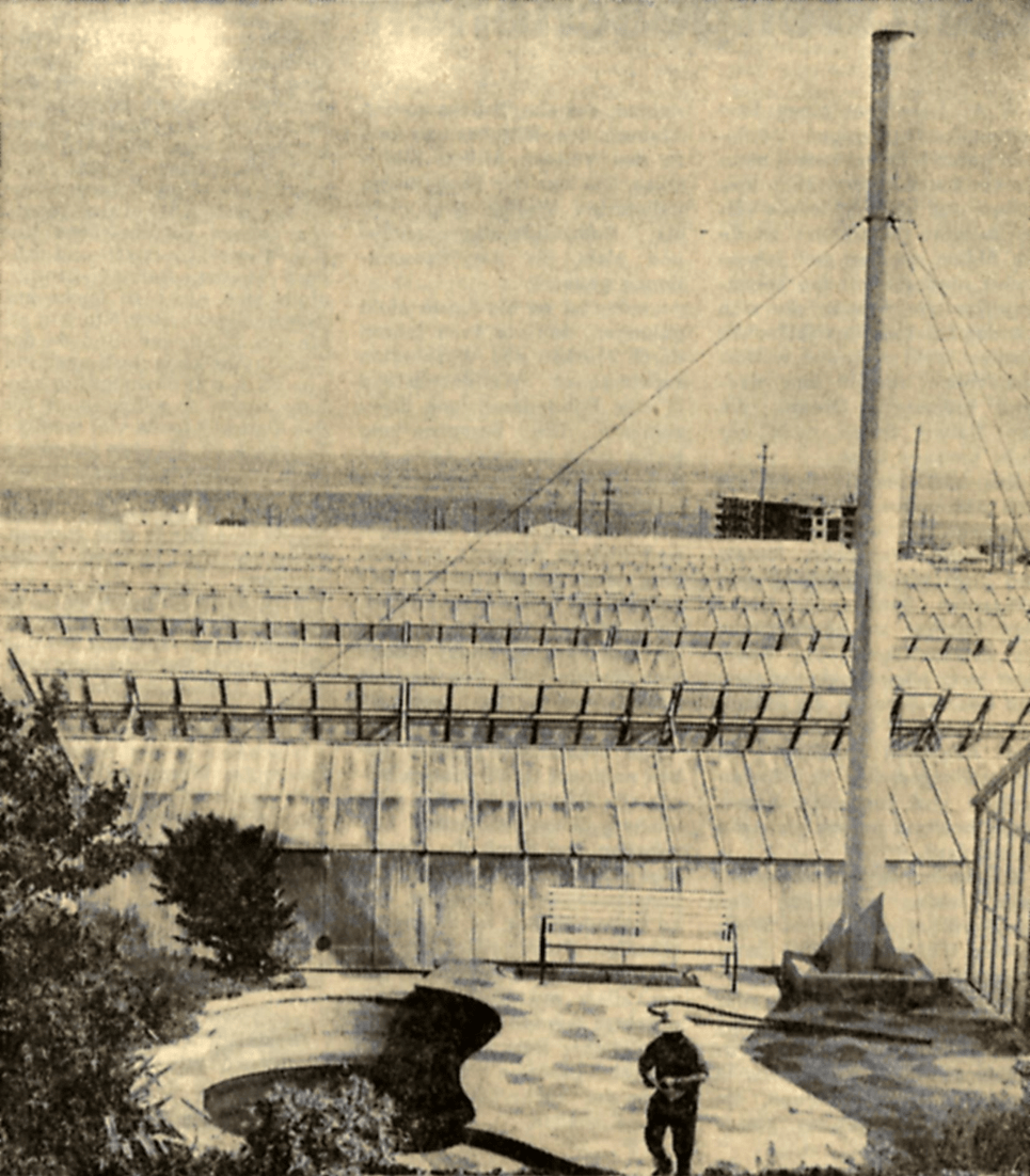 2-BB-Florispana-IMG_2253_BILD_FREISTELLEN