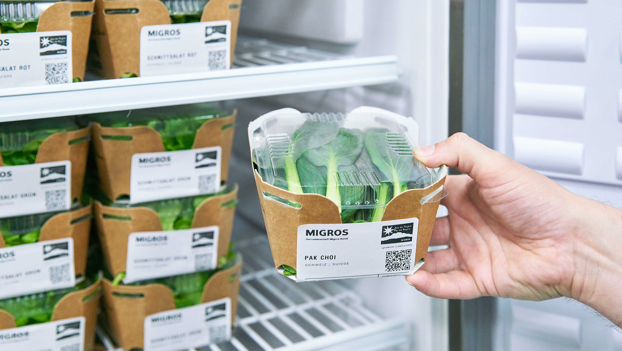 Pak choi in a small container with label