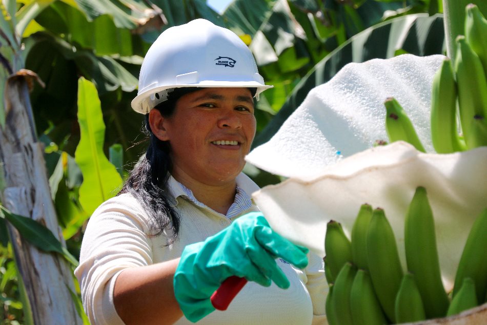 Eufemia Farm Kolumbien