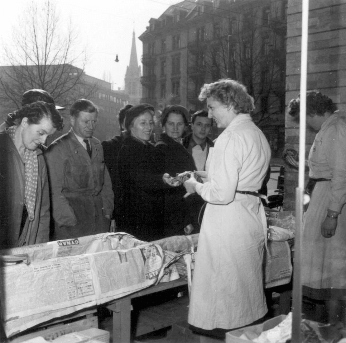 3-schildkroeten-verkauf