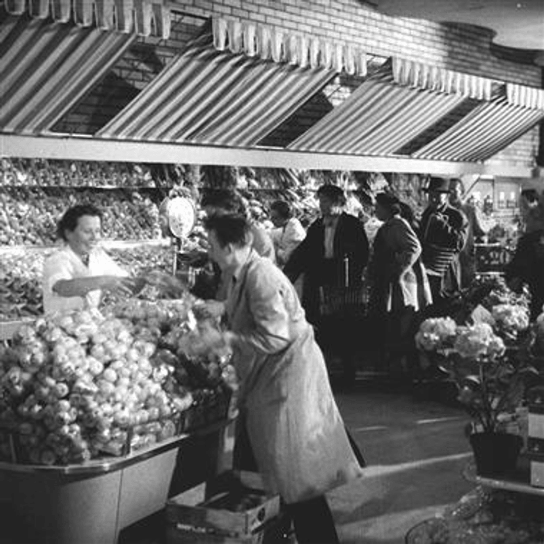 8-still-markt-mm-limmatplatz