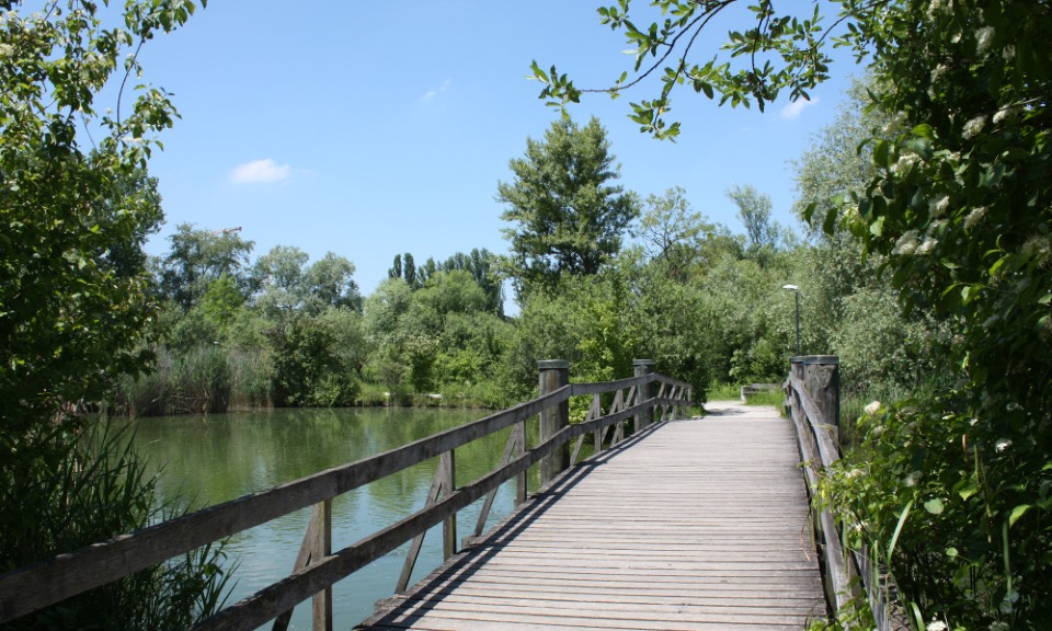 Seegarten Park im Grünen