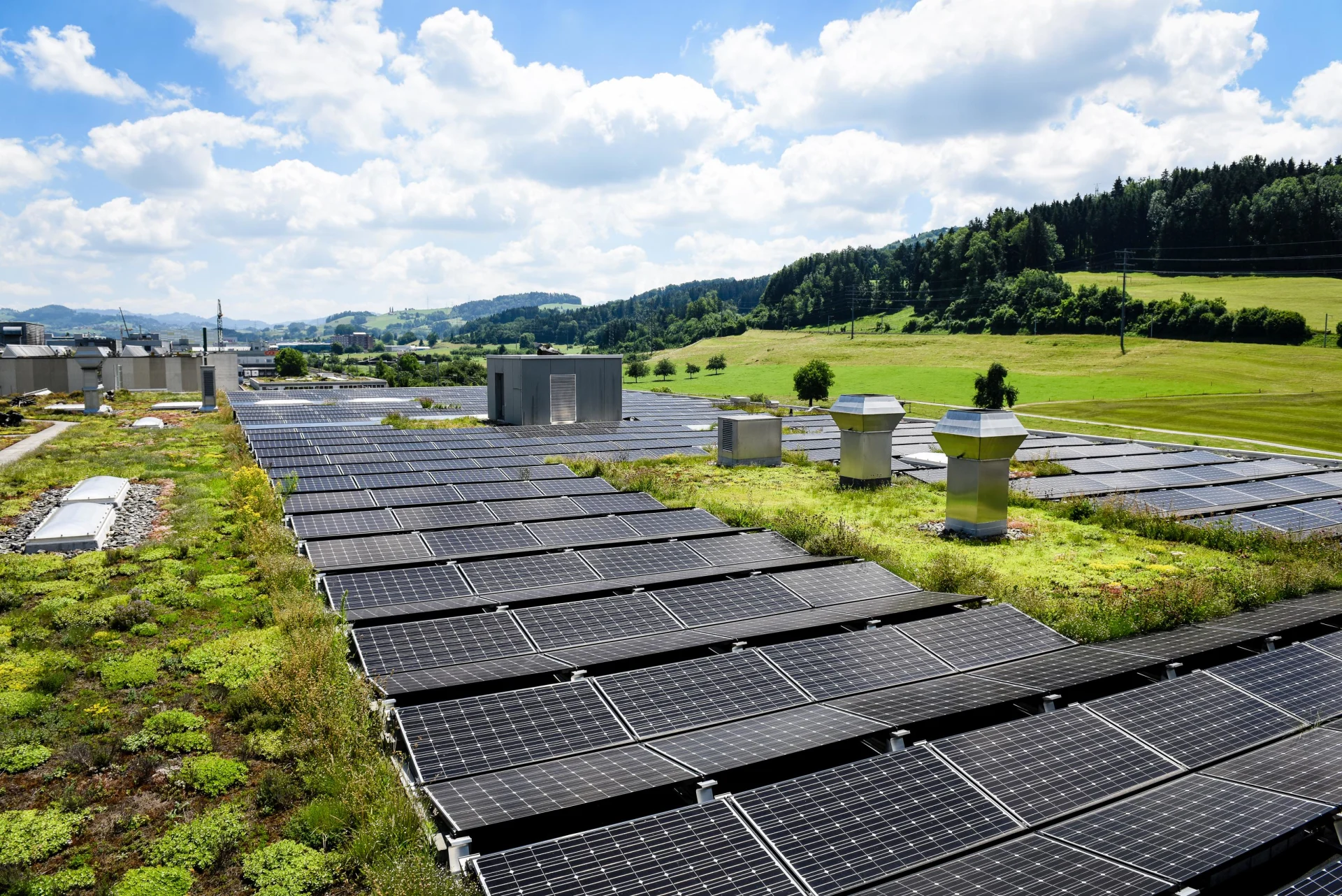 Solar panels on a green flat roof