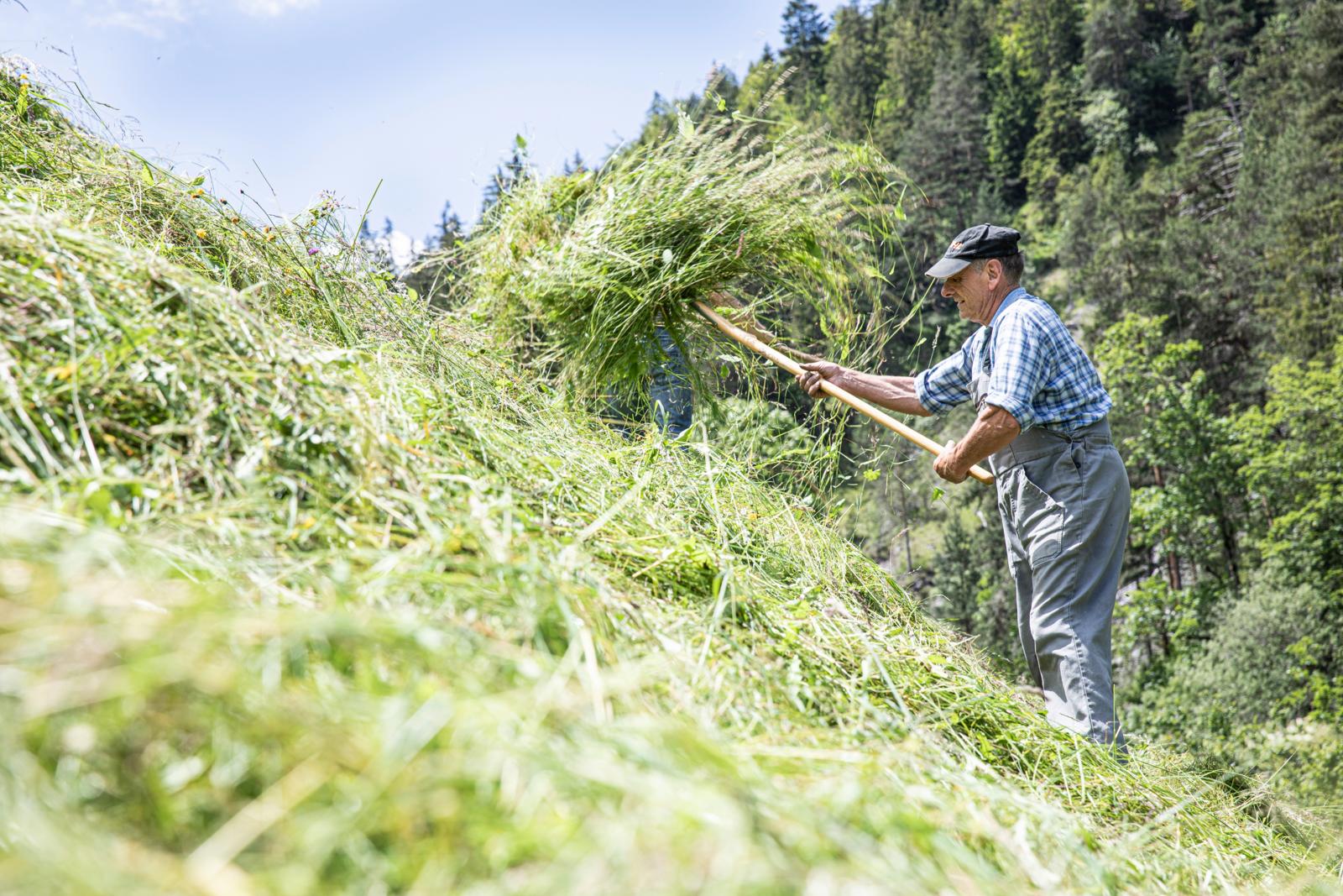 Ein Bauer am Heuen einer steilen Wiese
