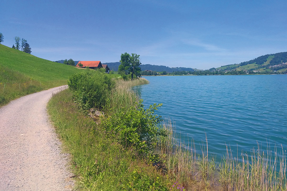 Migros Luzern Ausflugstipps - Rund um den Ägerisee