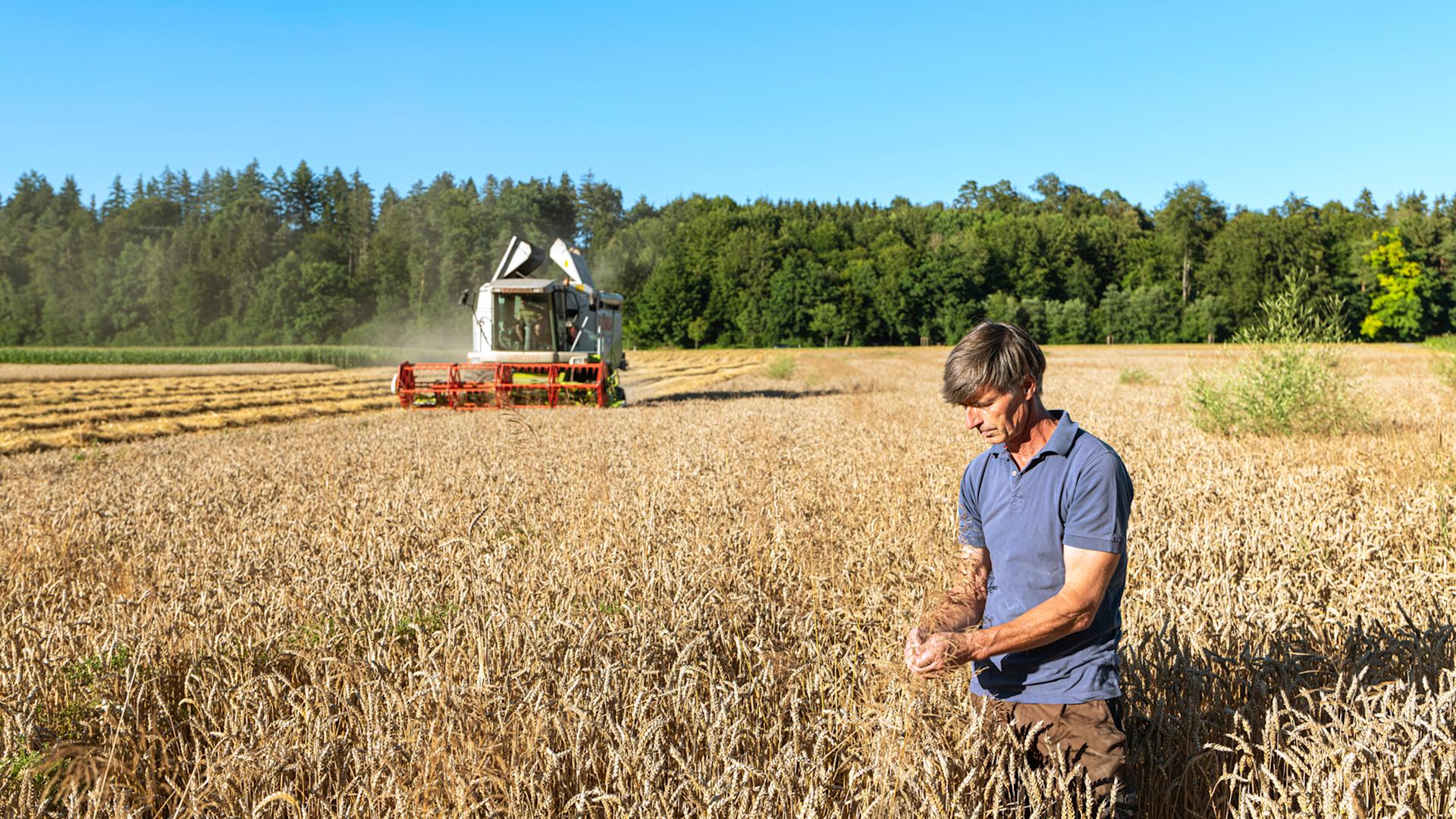 Jürg Kägi se tient dans un champ de blé, à l'arrière-plan une machine agricole.