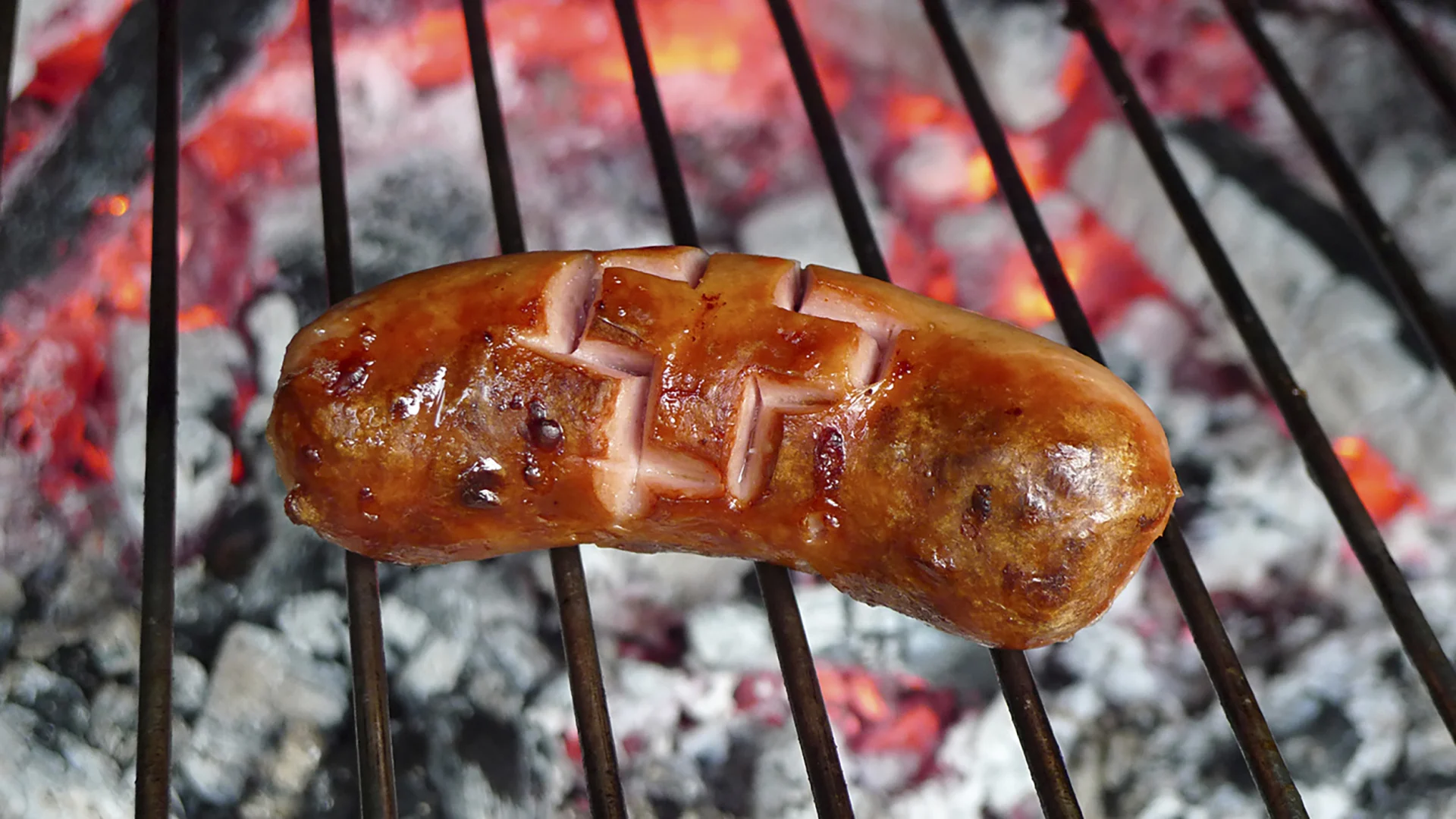 A cervelat sausage on a charcoal barbecue grill.