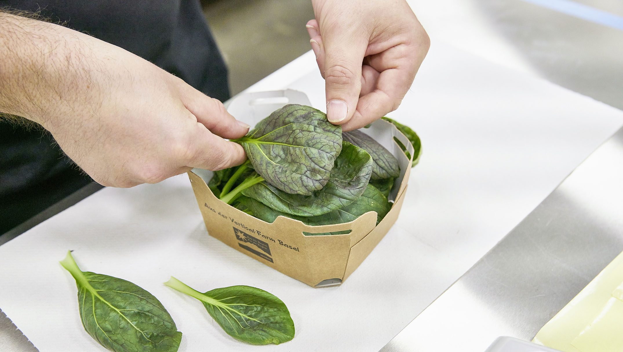 Leafy vegetables are packed into small containers by a person