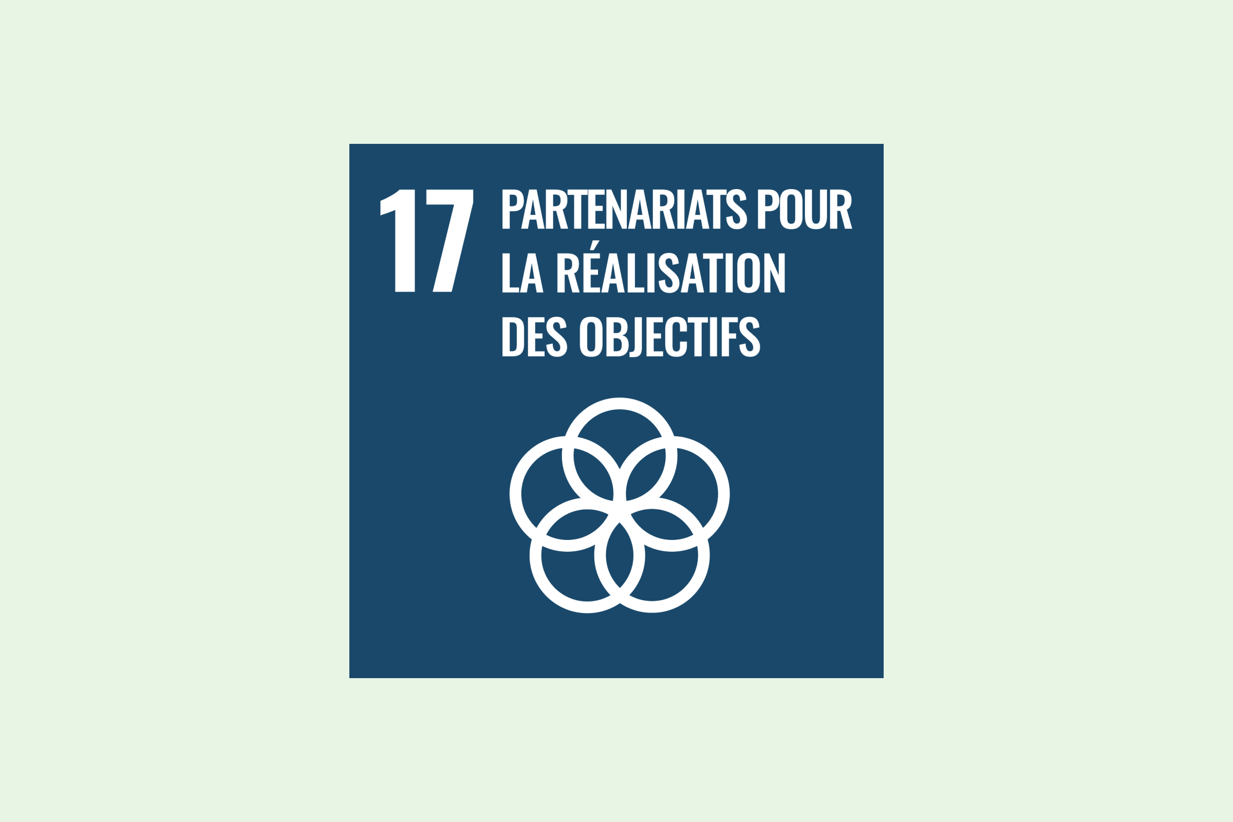 Illustration de SDG 17
