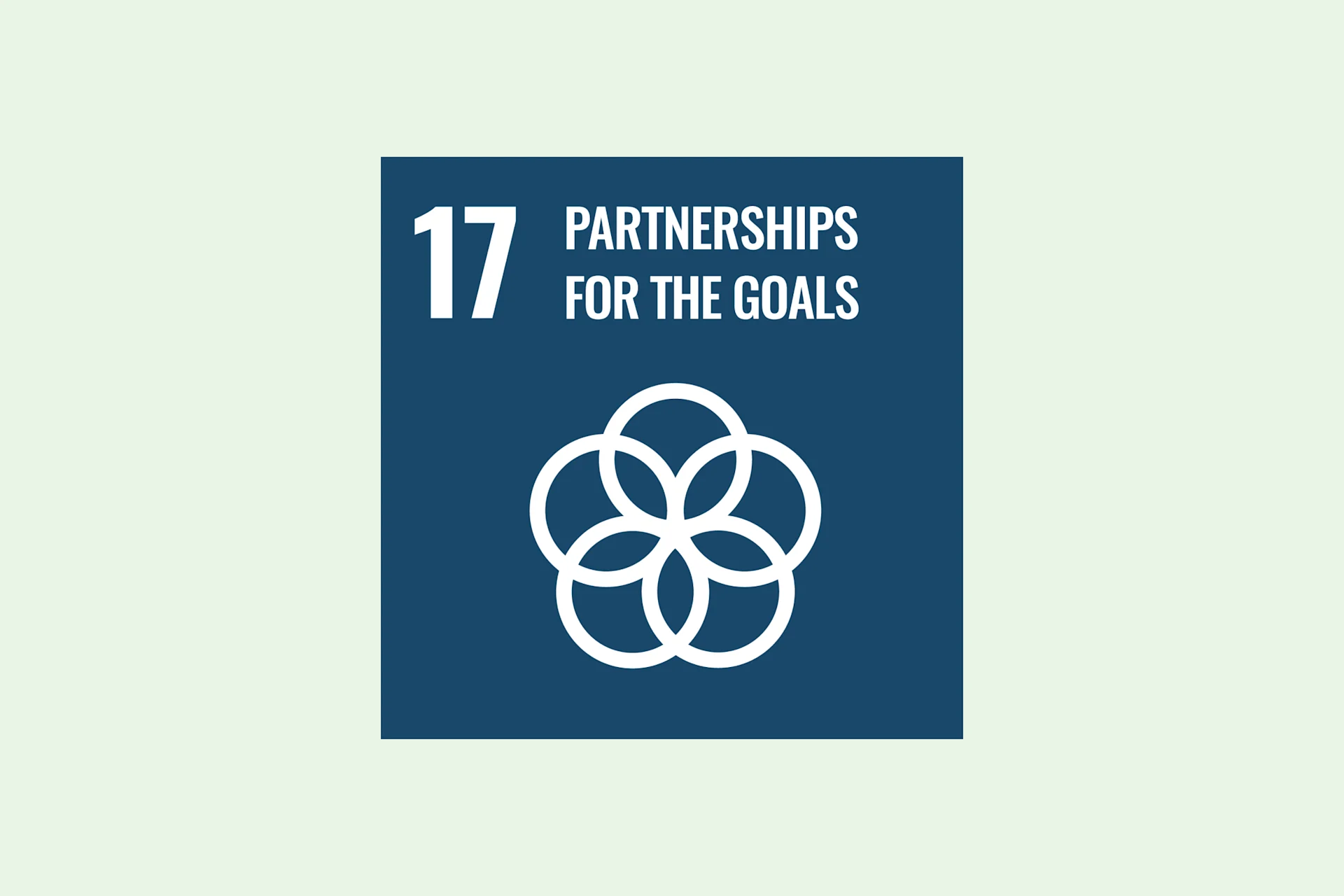 Our partnership goals pursue the SDG 17. Illustration of SDG 17