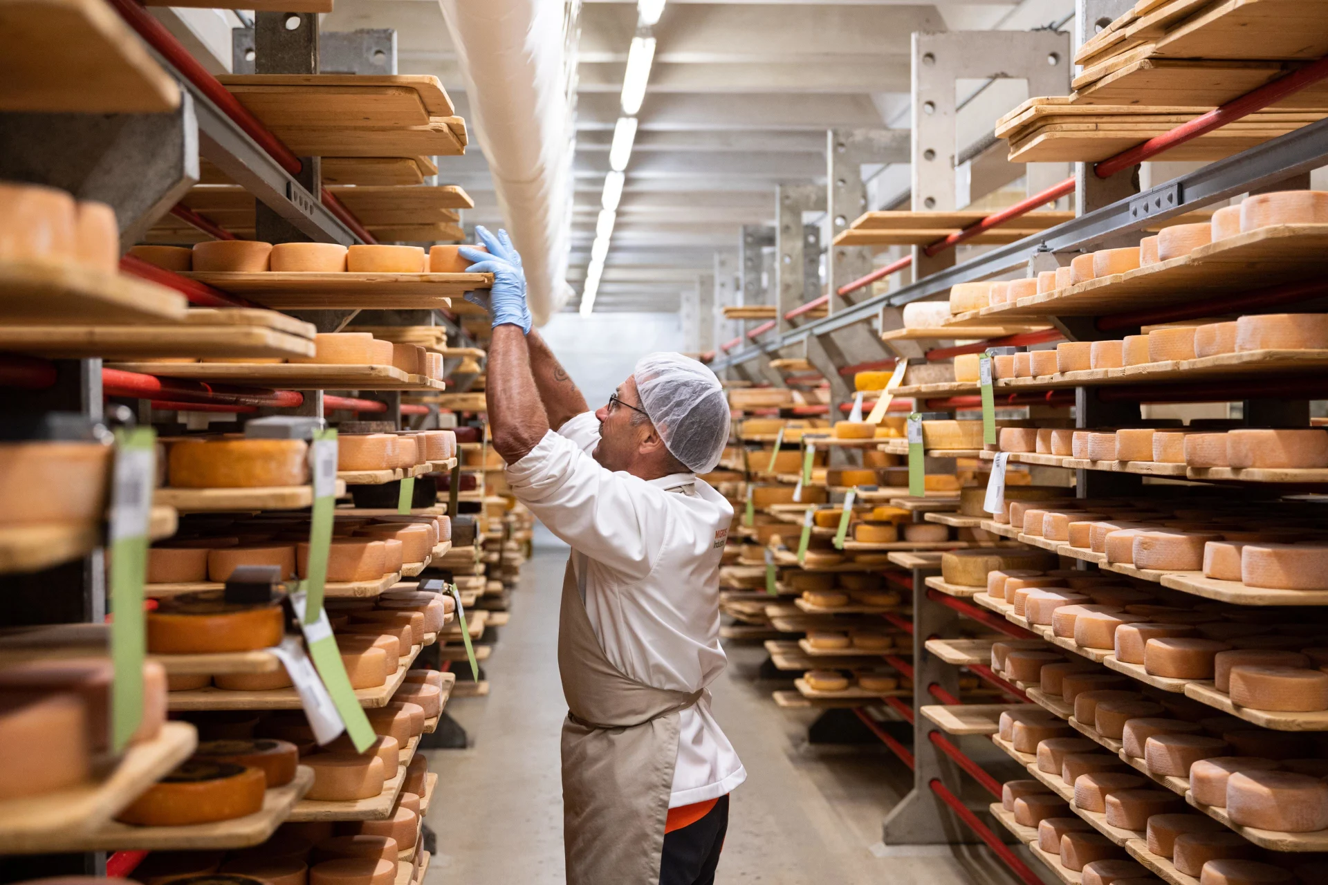 An employee brings wheels of cheese to the cheese warehouse to ripen