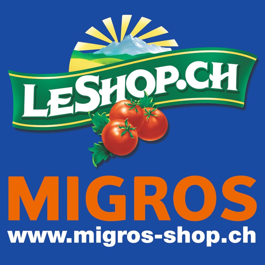 Logo vor 2005