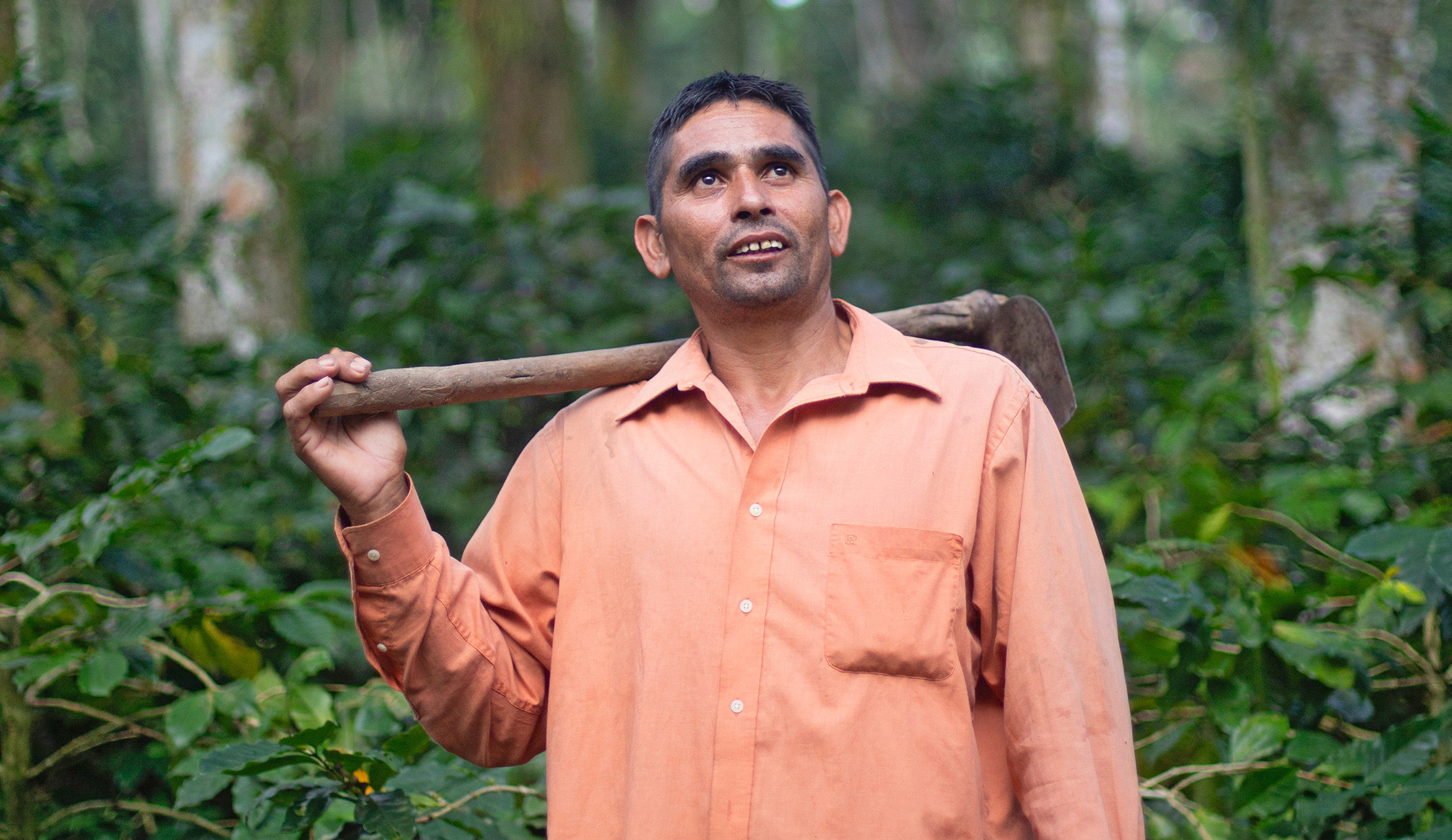 Hermes Rolando Barahona Rivera