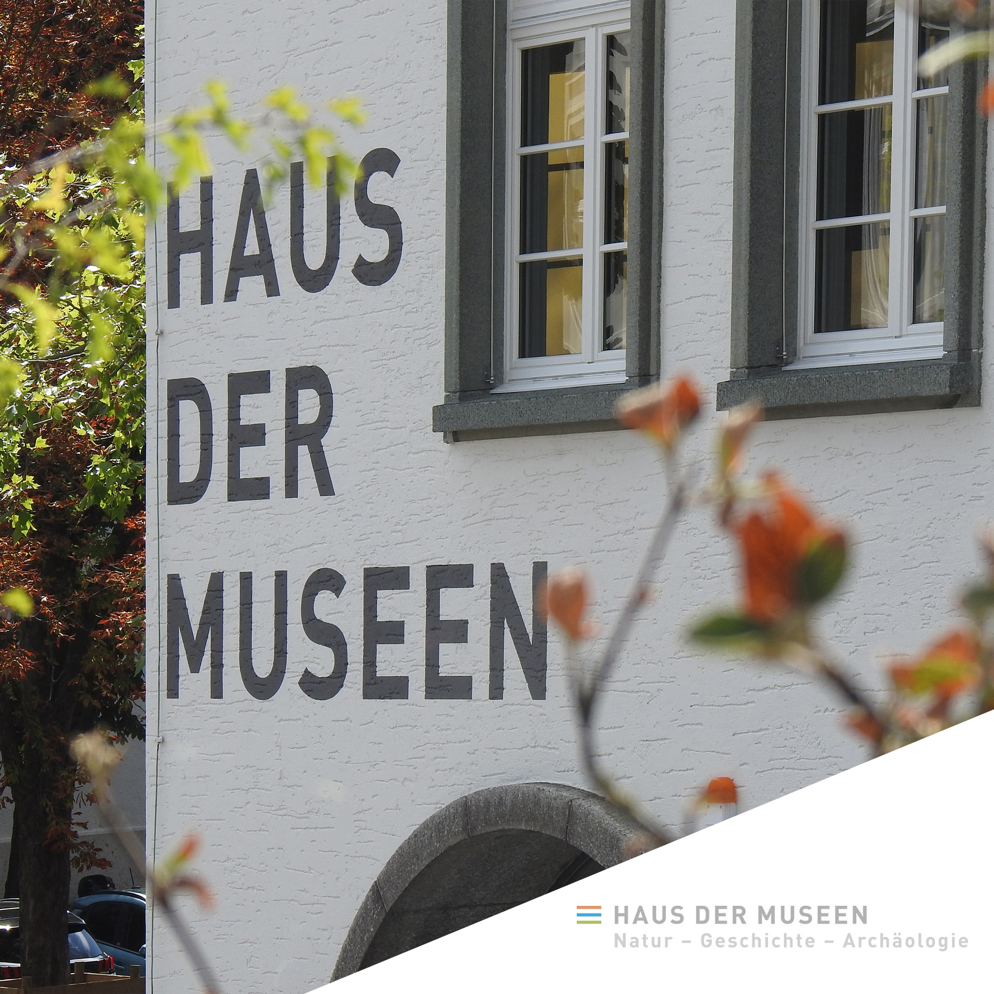 Maison des musées d’Olten