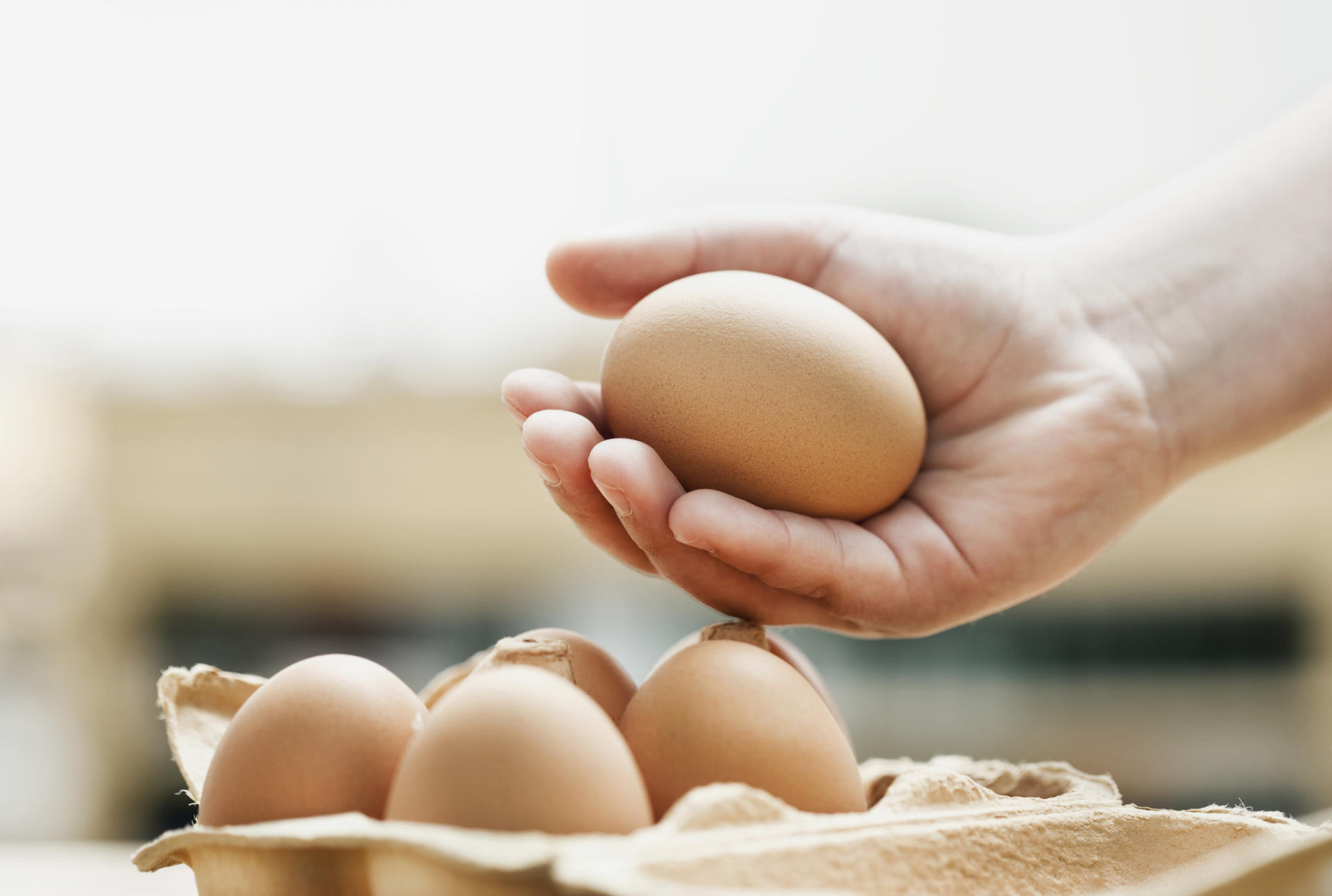 Un œuf marron repose délicatement dans une main au-dessus d’une boîte contenant d’autres œufs.
