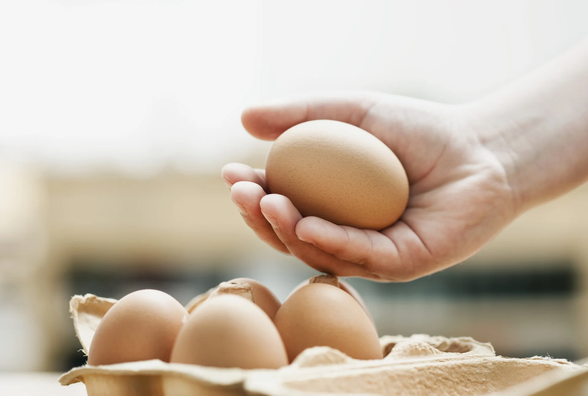 A hand gently cups a brown egg, above a box of other eggs.