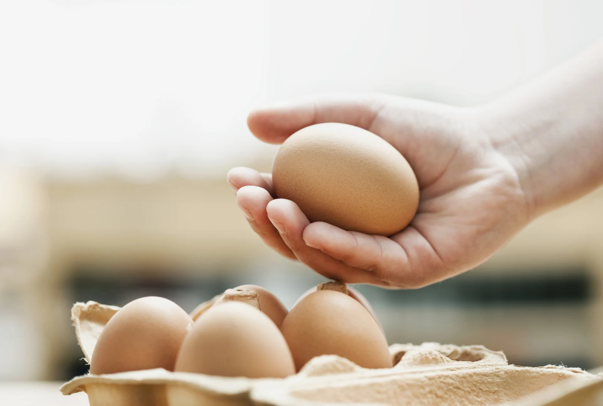 A hand gently cups a brown egg, above a box of other eggs.