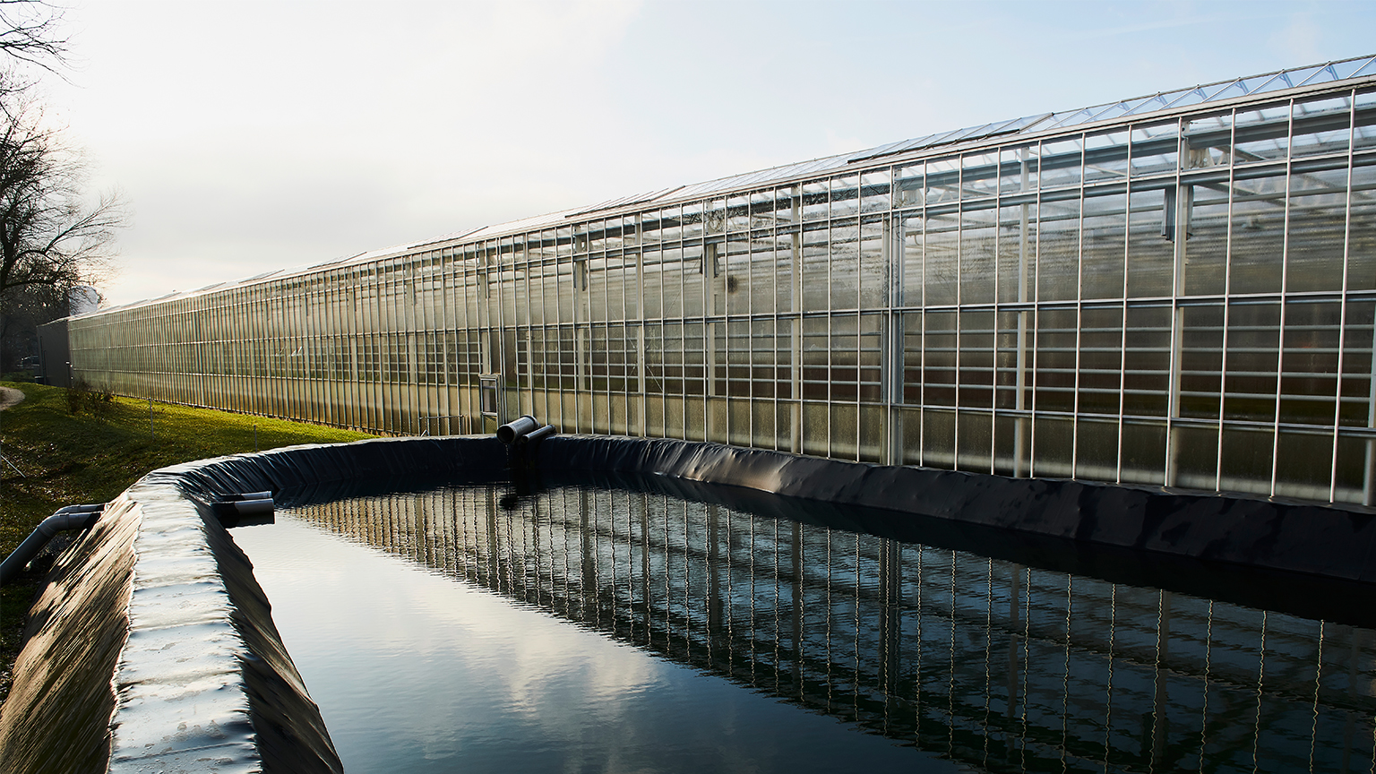 A rainwater basin in front of a greenhouse