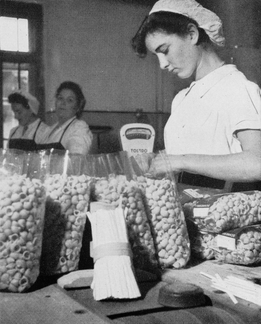 04_JB_1952_Saverma_2