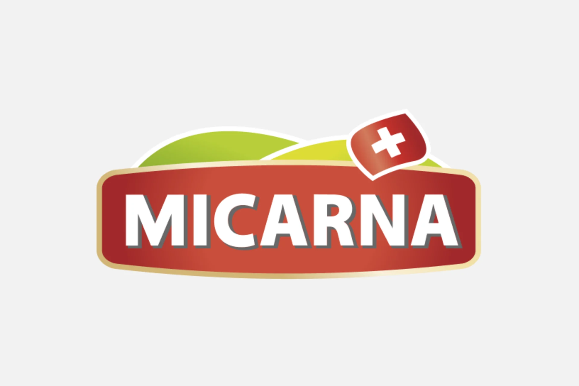 Logo du Micarna