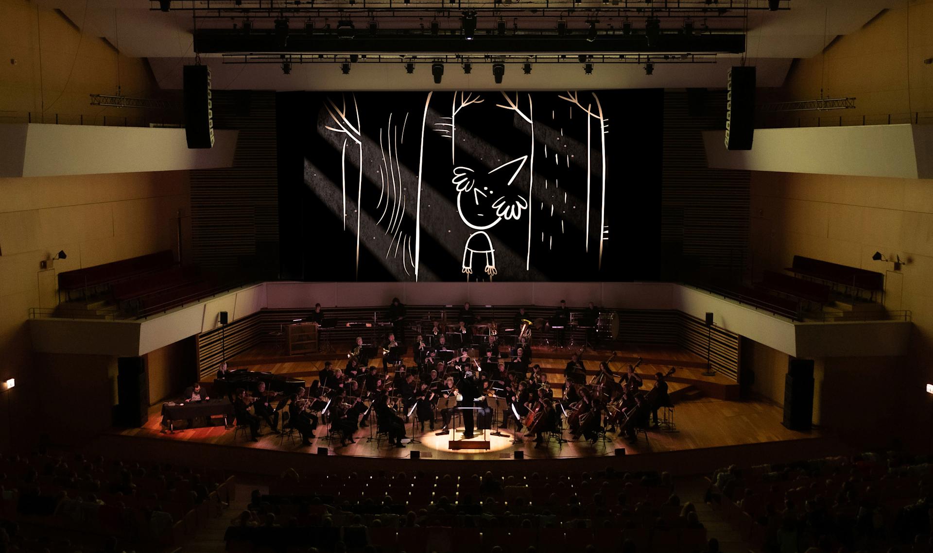 View of an orchestra at a classical concert
